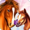 天美mv星空大象mv免费高清最新版